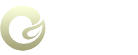 buzznewfeeds