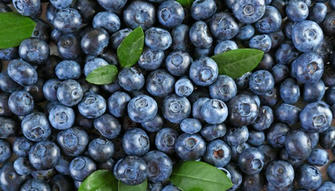 6 Health Benefits of Blueberries