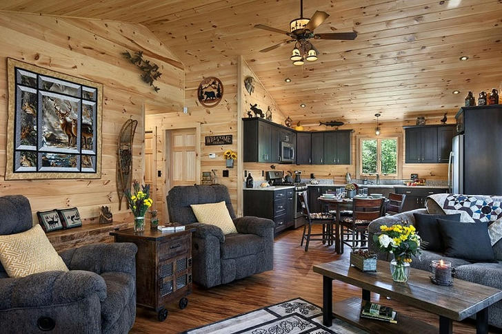 picture of the living room