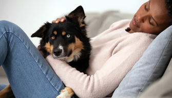8 Reasons to Get a Dog When You're Over 50