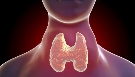 Facts about Thyroid Problems & Disease