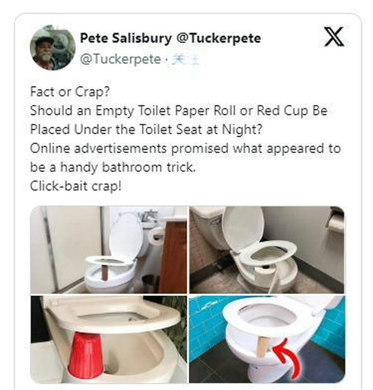 If you see toilet paper rolls or red cups under the toilet seat, don't